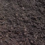 soil2